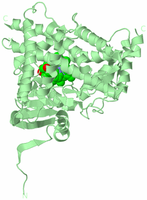 Image Biological Unit 2