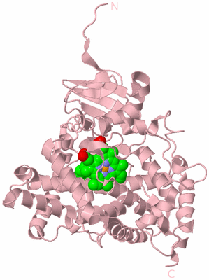 Image Biological Unit 3