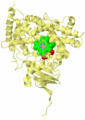 Image Biological Unit 4