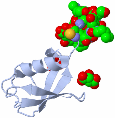 Image Biological Unit 1