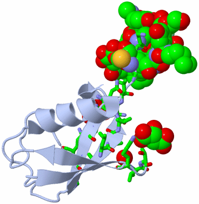 Image Biol. Unit 1 - sites