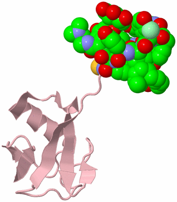 Image Biological Unit 3