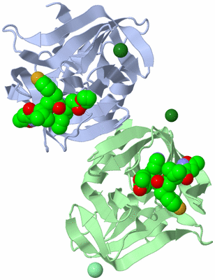 Image Asym./Biol. Unit