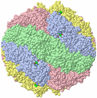 Image Biol. Unit 1 - sites