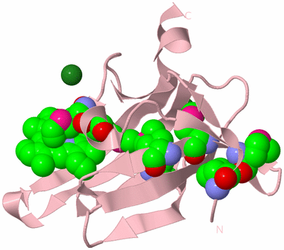 Image Biological Unit 3