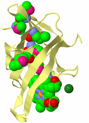 Image Biological Unit 4