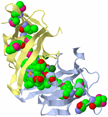 Image Biological Unit 5