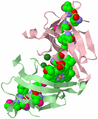 Image Biological Unit 6