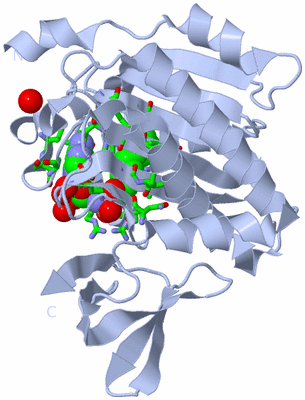 Image Biol. Unit 1 - sites