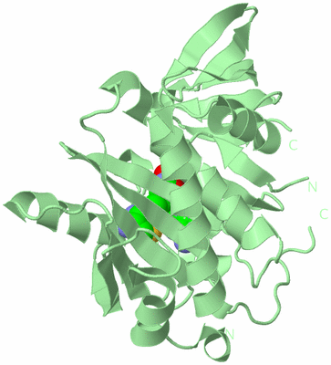 Image Biological Unit 2