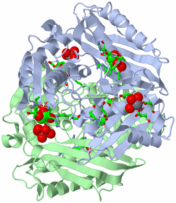 Image Biol. Unit 1 - sites