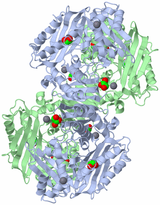 Image Biological Unit 2