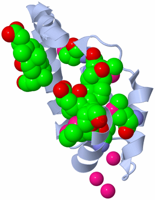 Image Biological Unit 1