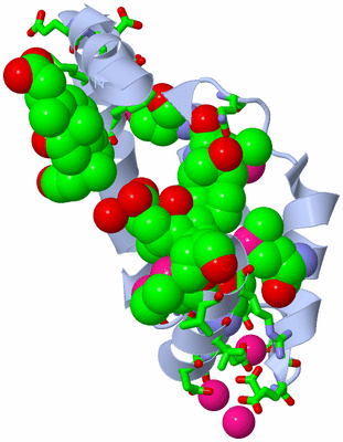 Image Biol. Unit 1 - sites