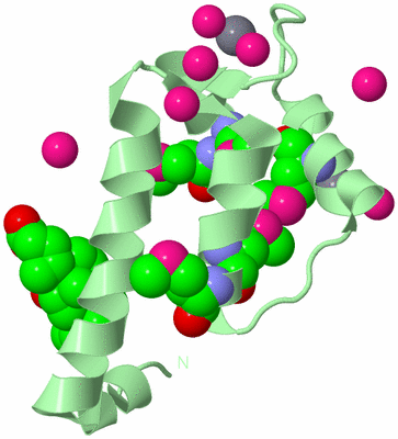 Image Biological Unit 2