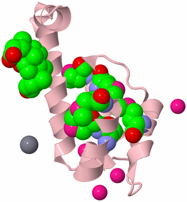 Image Biological Unit 3