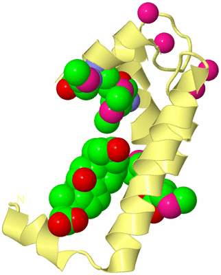 Image Biological Unit 4