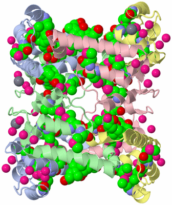 Image Biological Unit 5