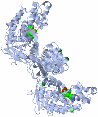 Image Biological Unit 1