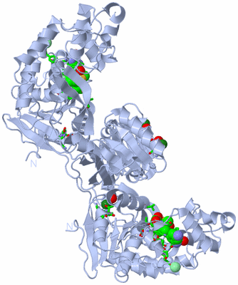 Image Biol. Unit 1 - sites