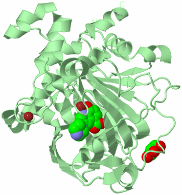 Image Biological Unit 2