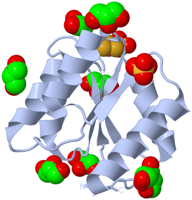 Image Biological Unit 1