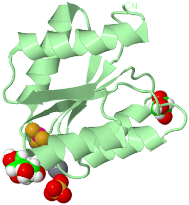 Image Biological Unit 2