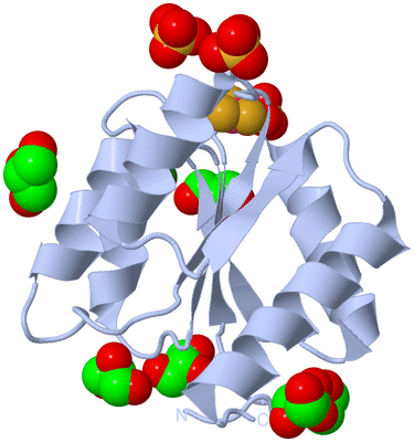 Image Biological Unit 1