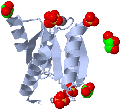 Image Biological Unit 1