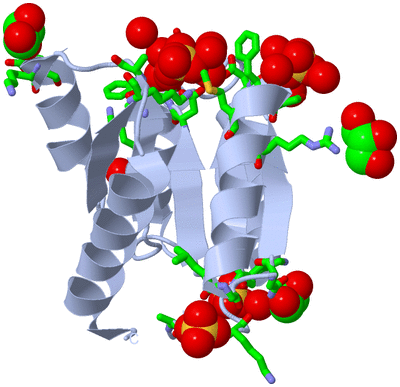 Image Biol. Unit 1 - sites