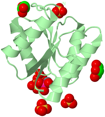 Image Biological Unit 2