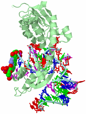 Image Biological Unit 2