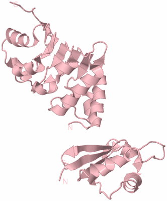 Image Biological Unit 3