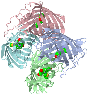 Image Biological Unit 1