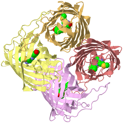 Image Biological Unit 2