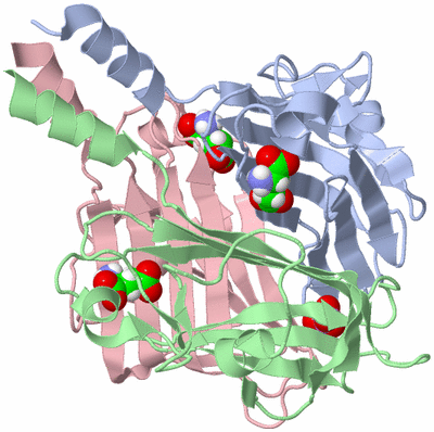 Image Asym./Biol. Unit