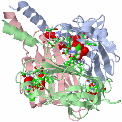 Image Asym./Biol. Unit - sites