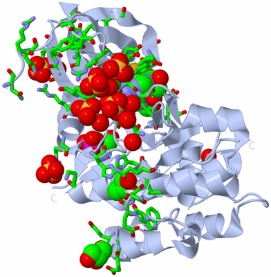 Image Biol. Unit 1 - sites