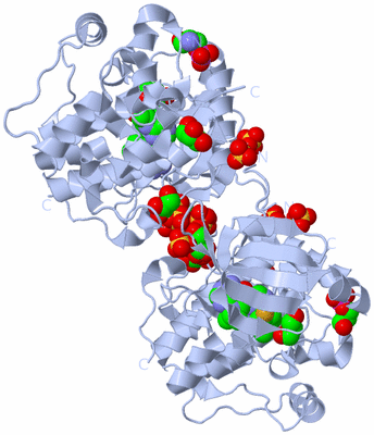 Image Biological Unit 2