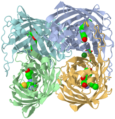 Image Biol. Unit 1 - sites