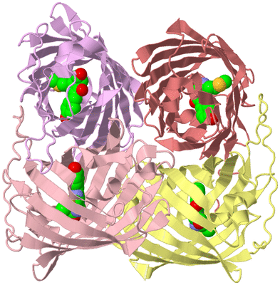 Image Biological Unit 2