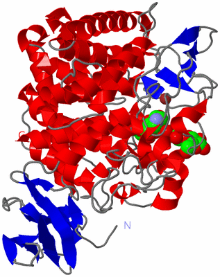 Image Asym./Biol. Unit