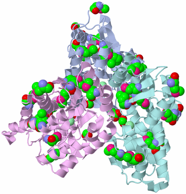 Image Biological Unit 1