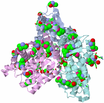 Image Biol. Unit 1 - sites