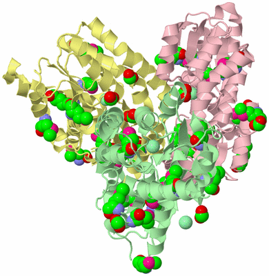 Image Biological Unit 2