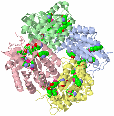 Image Asym./Biol. Unit