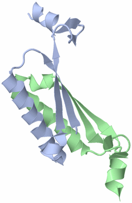 Image Asymmetric Unit