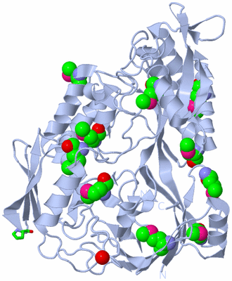 Image Biol. Unit 1 - sites