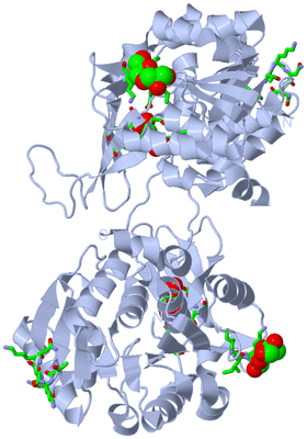 Image Biol. Unit 1 - sites