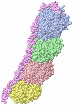 Image Asym./Biol. Unit